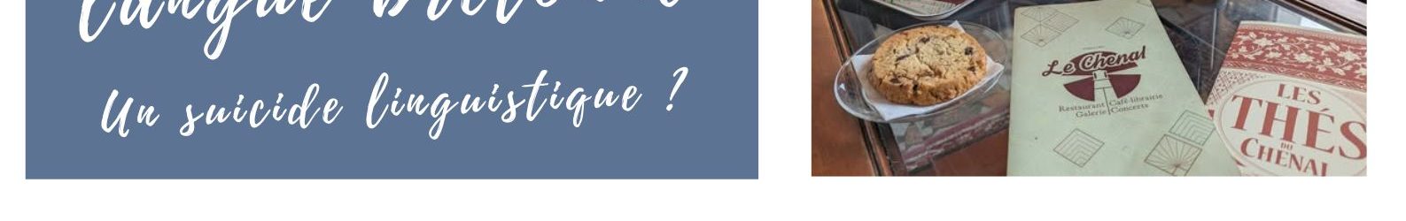 Sortie culturelle : conférence « Le déclin de la langue bretonne – un suicide linguistique ? »