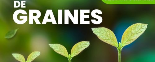 La grainothèque au jardin Pierre Stervinou