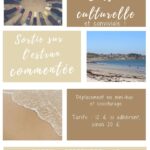 Sortie culturelle et conviviale : sortie sur l'estran