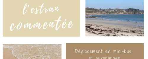 Sortie culturelle et conviviale : sortie sur l&rsquo;estran