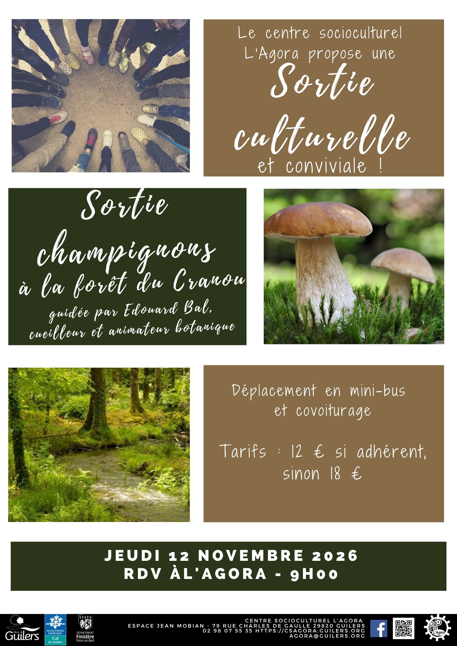 Sortie culturelle et conviviale : sortie champignons