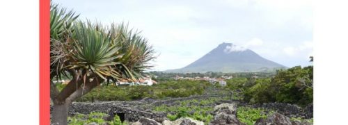 Le Monde en Images : les Açores