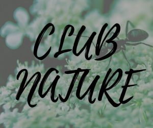 Club nature : nettoyage de la forêt