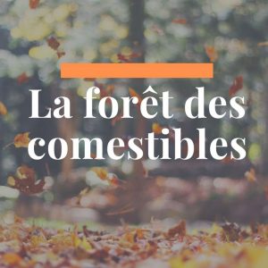 Lundi des jardiniers : rdv mensuel à la Forêt des Comestibles