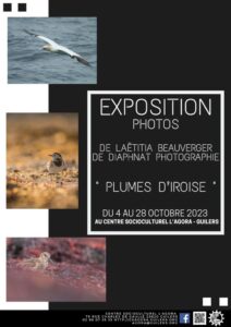 Exposition : Plumes d'Iroise