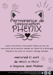 Permanence de l'association Phenix