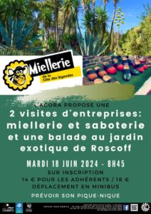 Visite d'entreprises : sabotier + miellerie + jardin de Roscoff