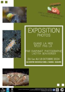 Exposition "Quand la mer n'est pas là"