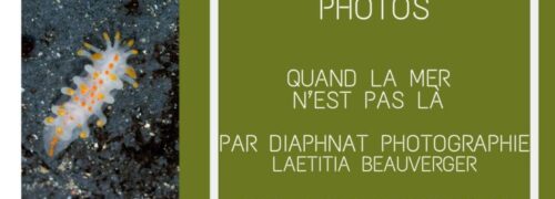 Exposition « Quand la mer n’est pas là »